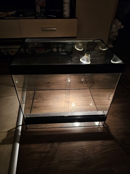 Стъклен Терариум