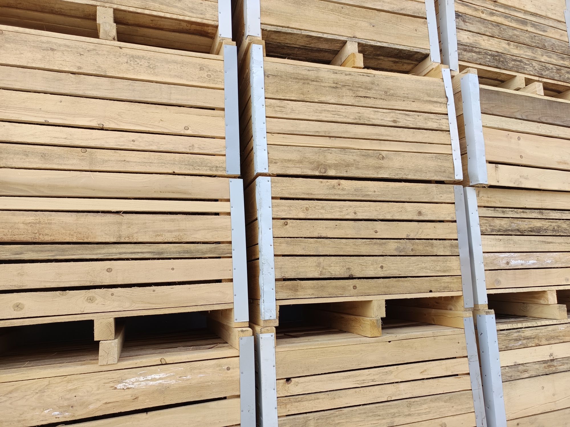 Box paleti/containere de mere noi- in stoc