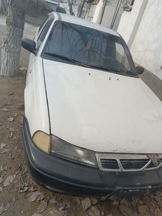 Cielo Кореяда чиққан