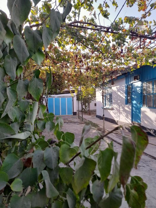 Продаётся уютный дом в центре города Алмалык