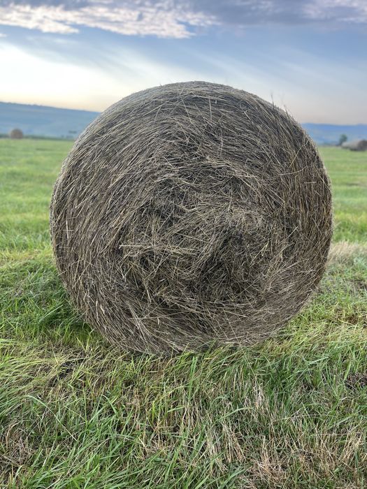 Baloti rotunzi de fân