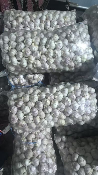 chisnok sotiladi yaqinda terib olingan sifatiga zor