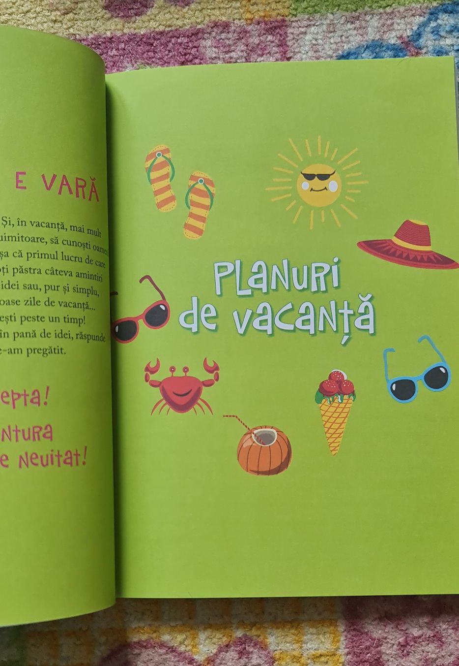 Carte Jurnalul meu de vacanta