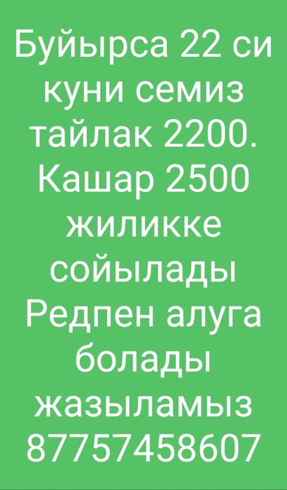 Кашар жіліктенеді