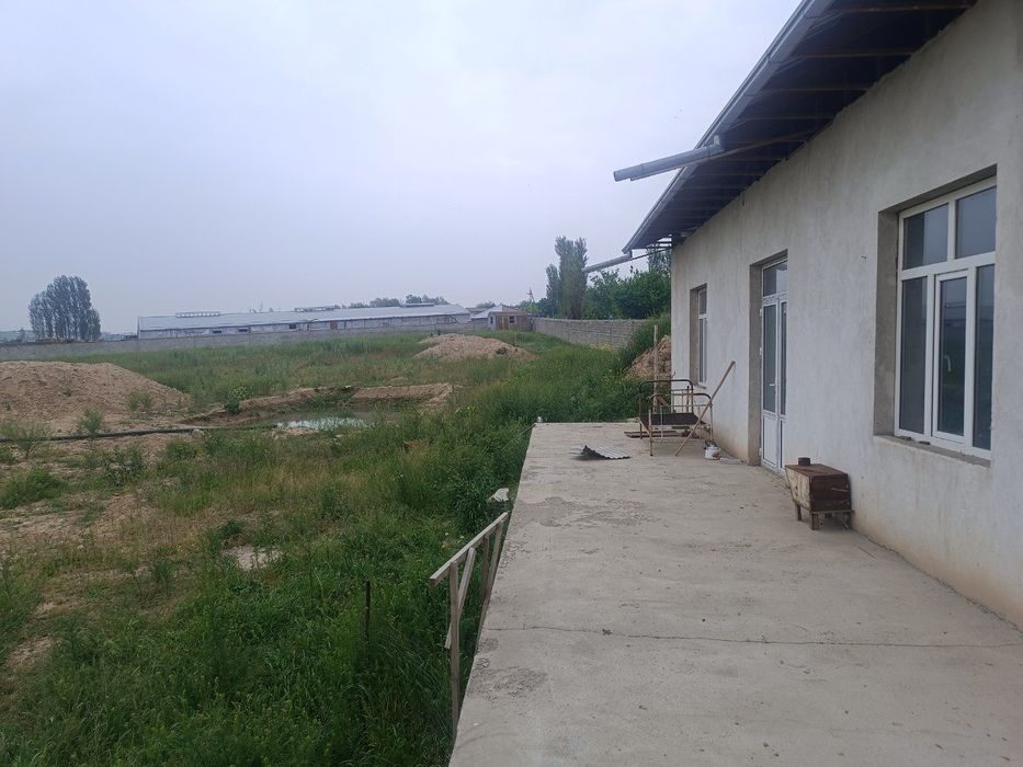 Срочно продам земельный участок площадью 100 сот 
Таш обл. Черняевка.