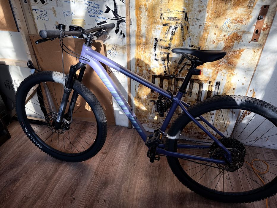 specialized rockhopper comp vn 2026 L 29'  (rockshox Judy]