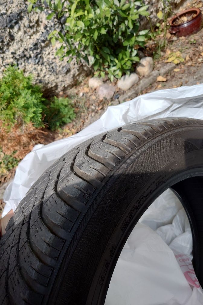Falken Eurowinter 225 55 18  Зимни