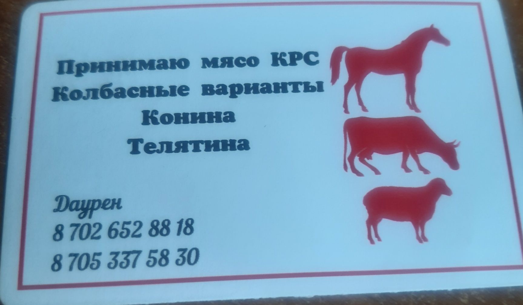 Продаю мясо крс.конина