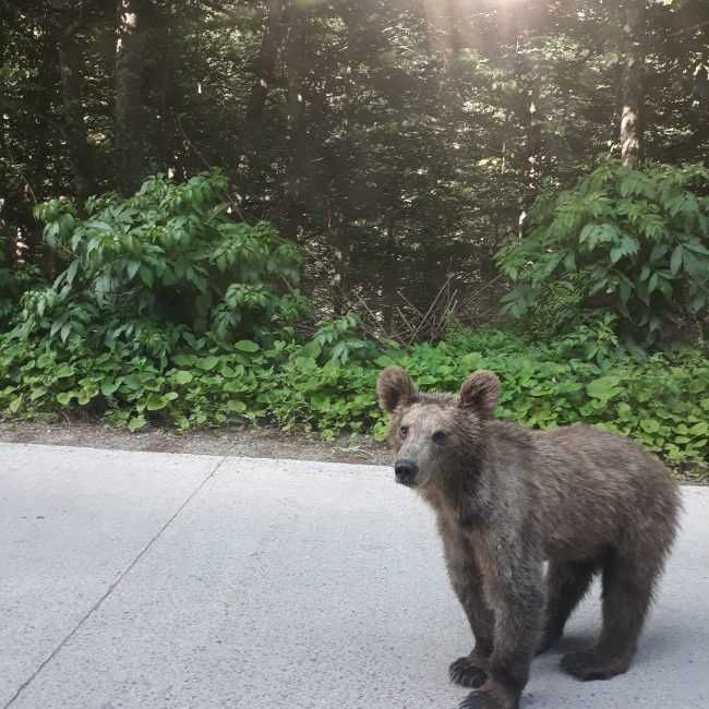 Sejur la munte, Baie, Apa termala la Wellness Tusnad, lacul Sfanta Ana