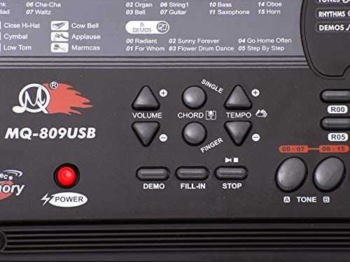Orga electronica copii 5 octave +Suport reglabil+Microfon 61 clape USB
