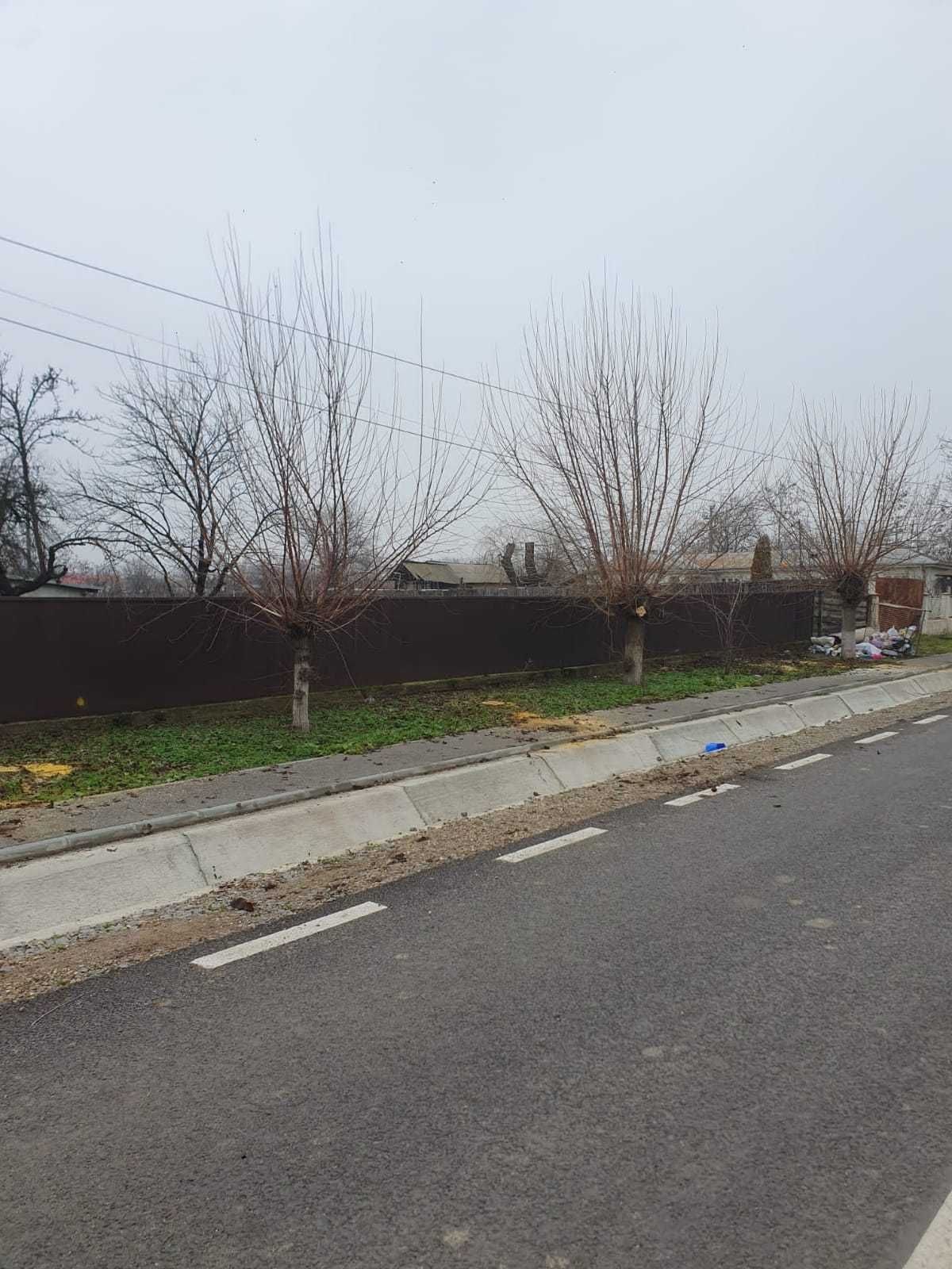 3 terenuri intabulate în Hanu Conachi, Jud. Galați