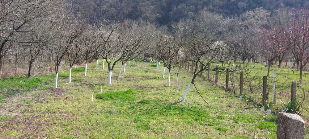 Teren  intrare Herculane ,E70.