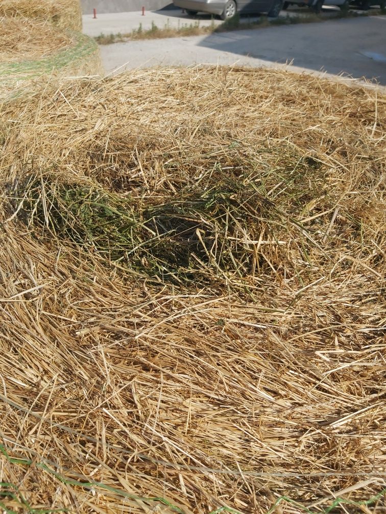 Продавам бали сено с люцерна