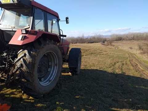 Înființăm plantații pomicole viticole si arbustive ,ZMD HORTI