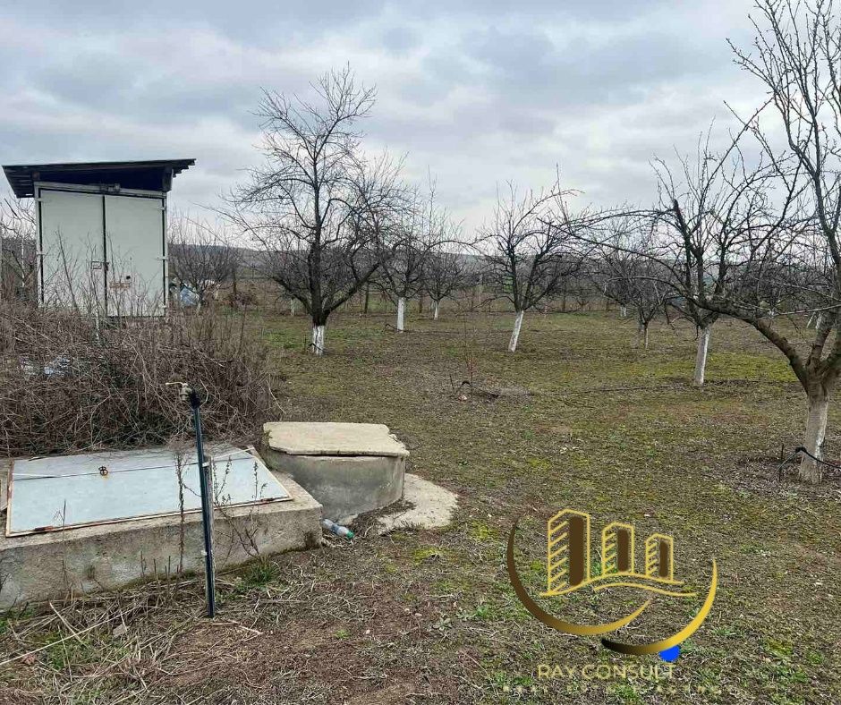Продава се Земеделски имот в Димитровград -  кв.м за 3400 €/дка - Снимка #4