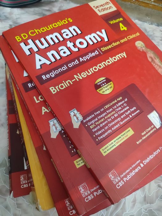 Учебное пособие на английском языке