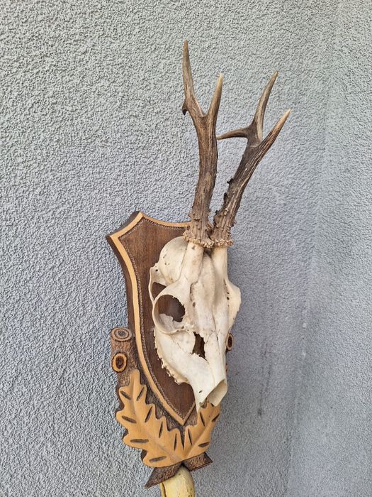 Ornament interior/exterior