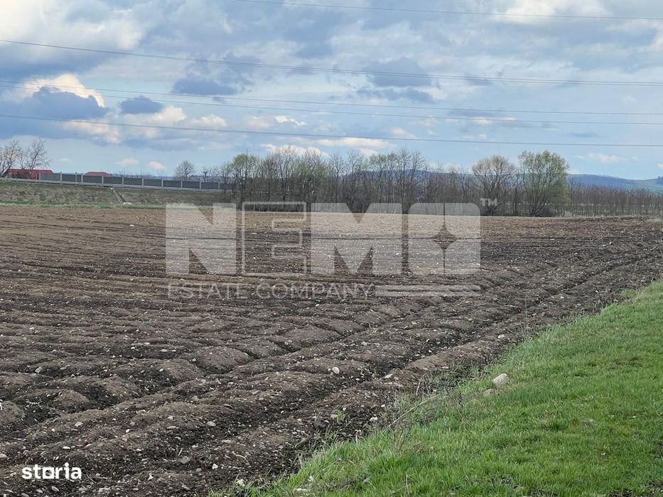 Teren Extravilan | 48 Ari