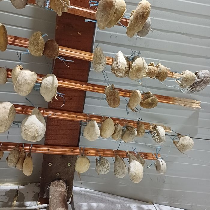 Cheaguri de miel naturale