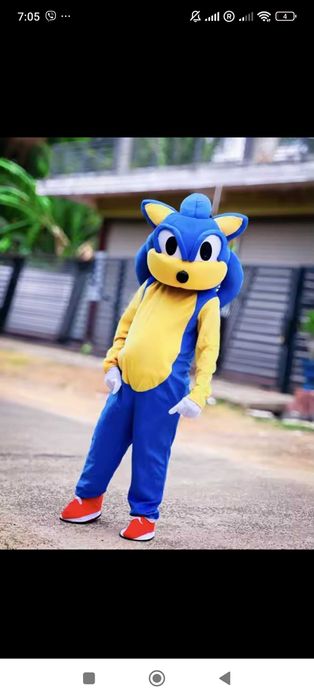 Костюми - Стип - Панда - Бяло мече - Блуи и приятели