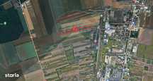 Teren Intravilan 17,500mp Giurgiu / Strada Gloriei