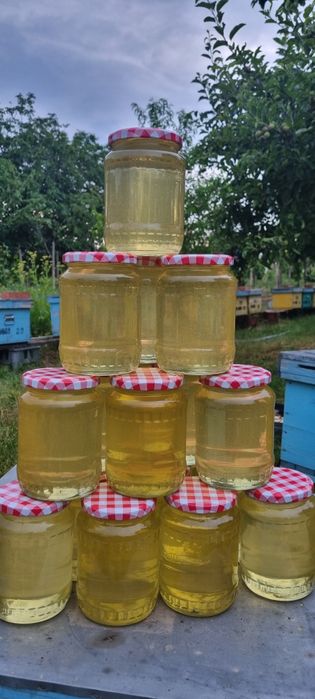 Miere de albine 2024