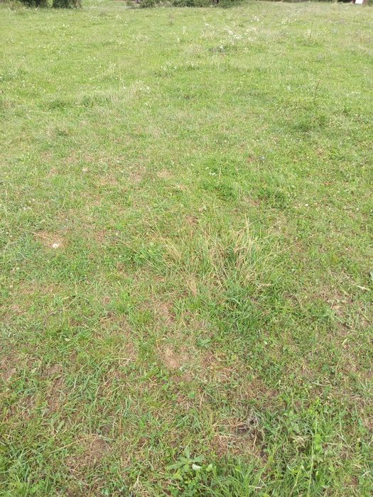 Teren intravilan de vânzare la Negrești oas