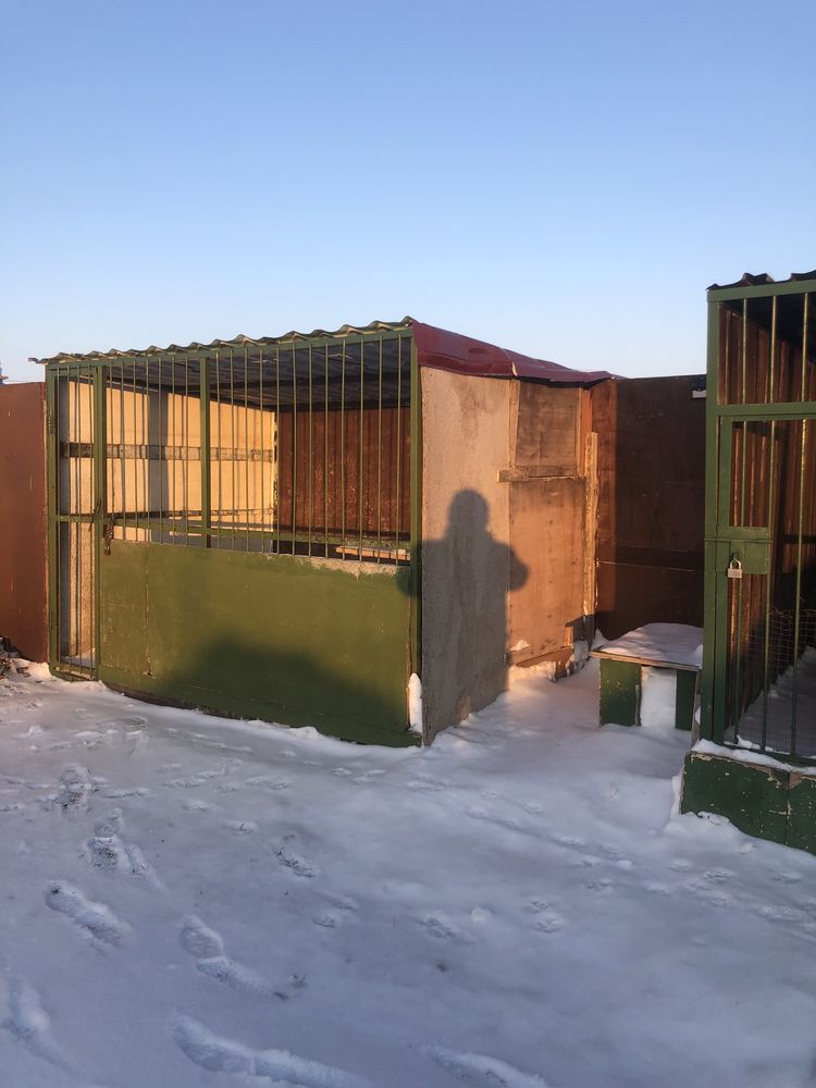 Вальеры для собаки