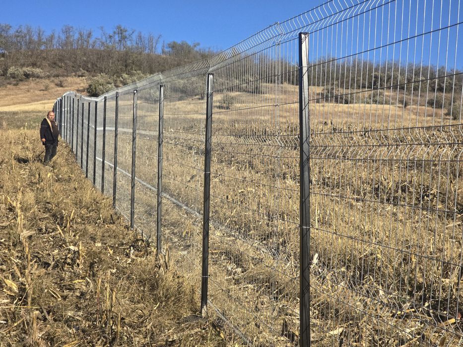 Facem garduri din plasa