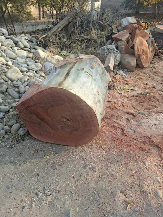 Гушт тунка орка тарафи ишлатилади