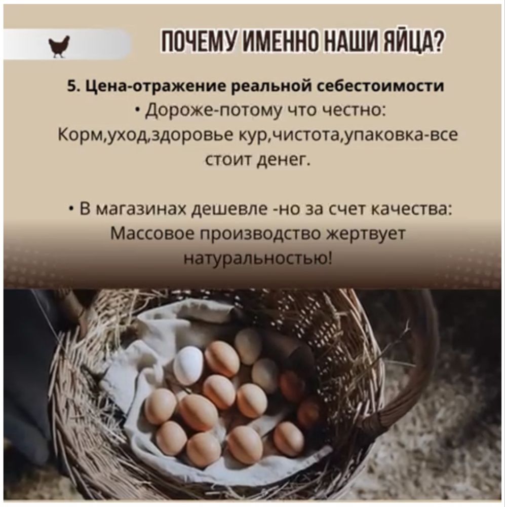 Домашние яйца халал