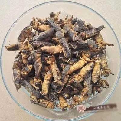 Медведки от туберкулеза и пневмонии.