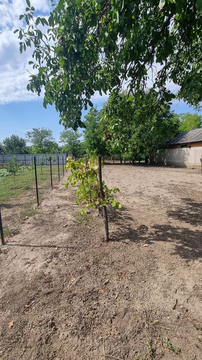 Vand casă comuna Dorobanti