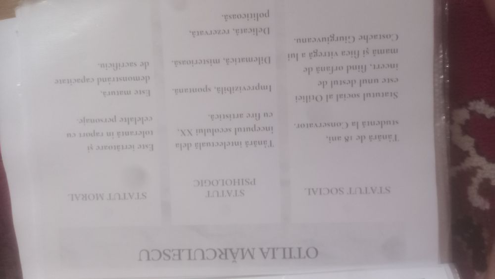Materiale pentru bac la română