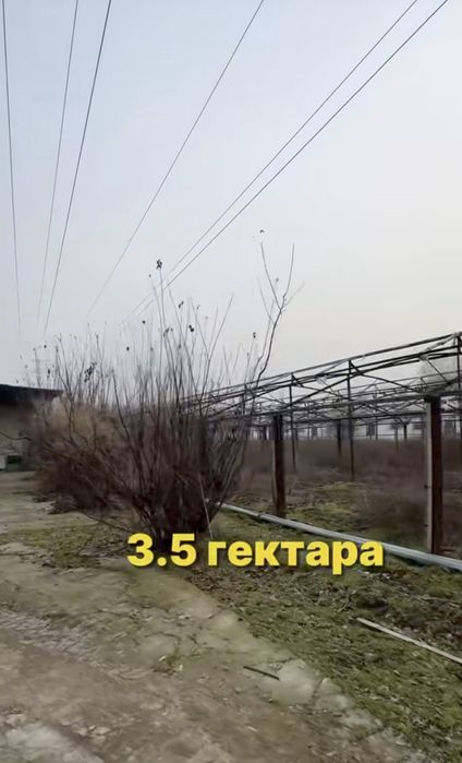 Готовый птица фабрика