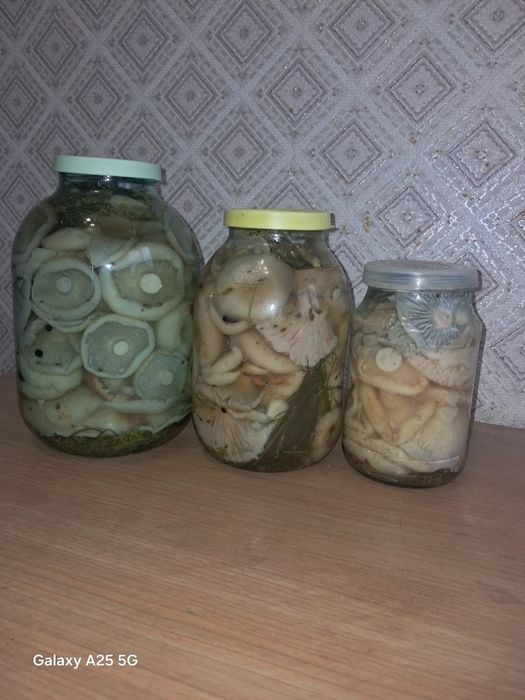 Грибы грузди, маслята домашней засолки..