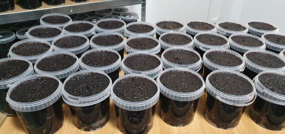 Magiun de prune/silvoită