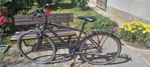 Bicicleta CROSS Citerra Man City 28