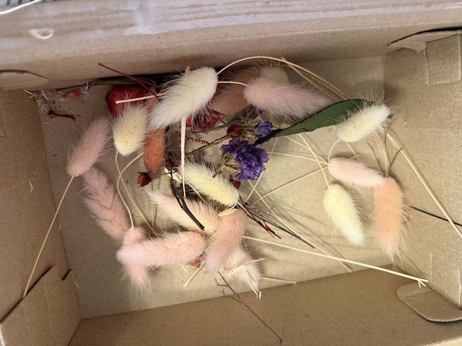 Kit intreg penteu arangamente cu trandafiri criogenati