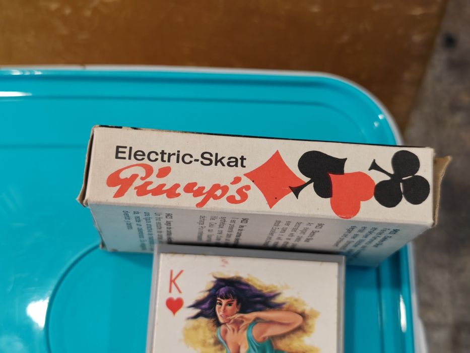 Електро шок от 60 те Pin-up Girls