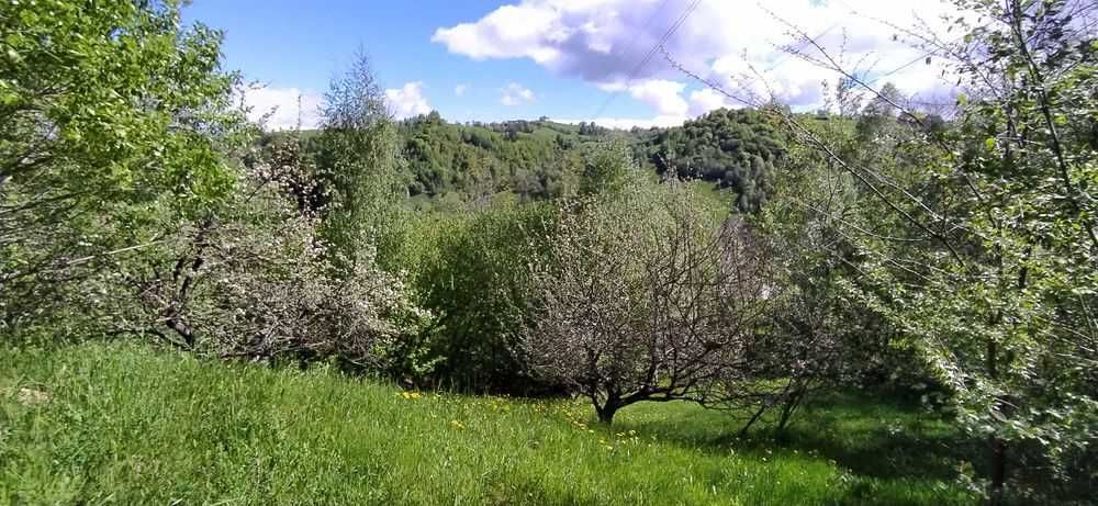 Teren intravilan Bran Poarta, bransat la toate utilitatile