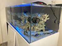 Морской аквариум 1000 литров