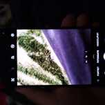 Se da la schimb pe un iPhone 11 pro.