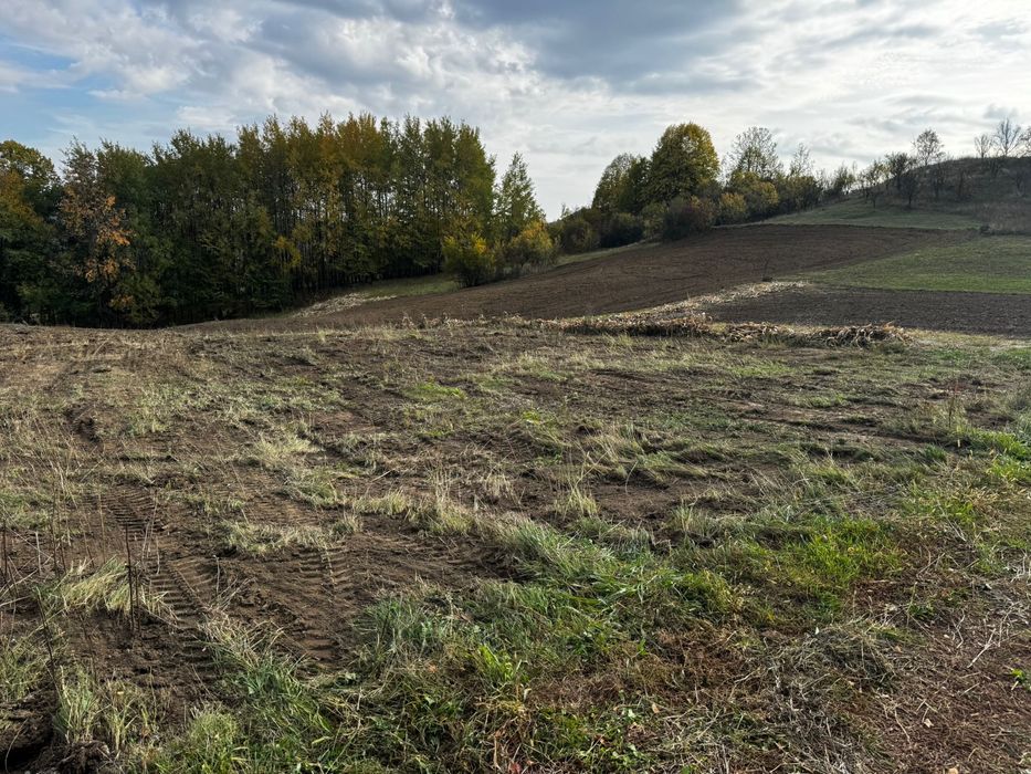 Vand 2 loturi de teren la Vladesti