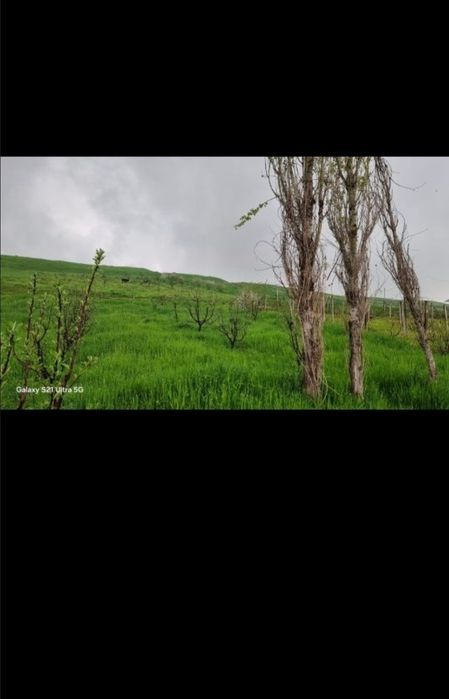 Продам земельный участок 8 соток