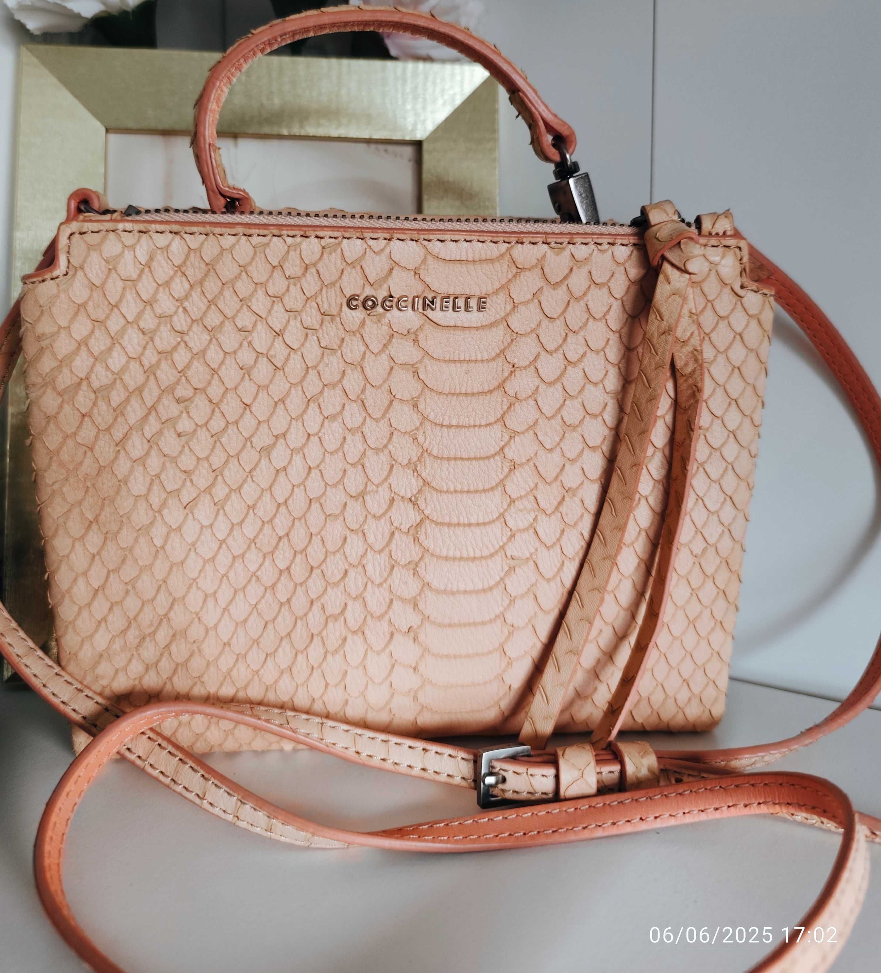 Coccinelle две визии