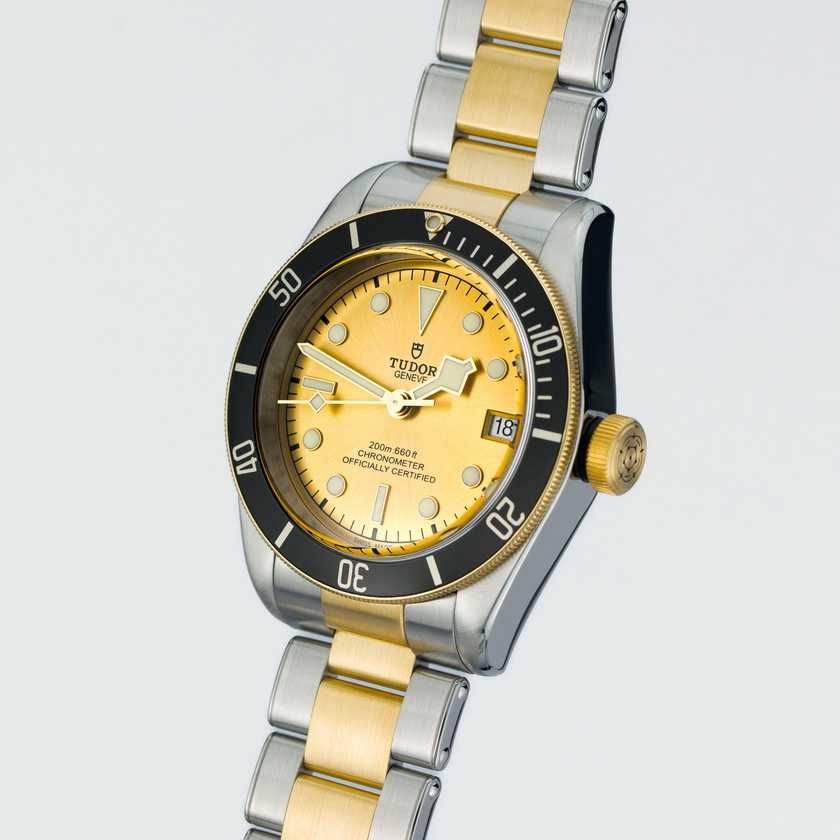 Tudor Heritage Black Bay S&G M79733N-0004 Champagne Colour Dial