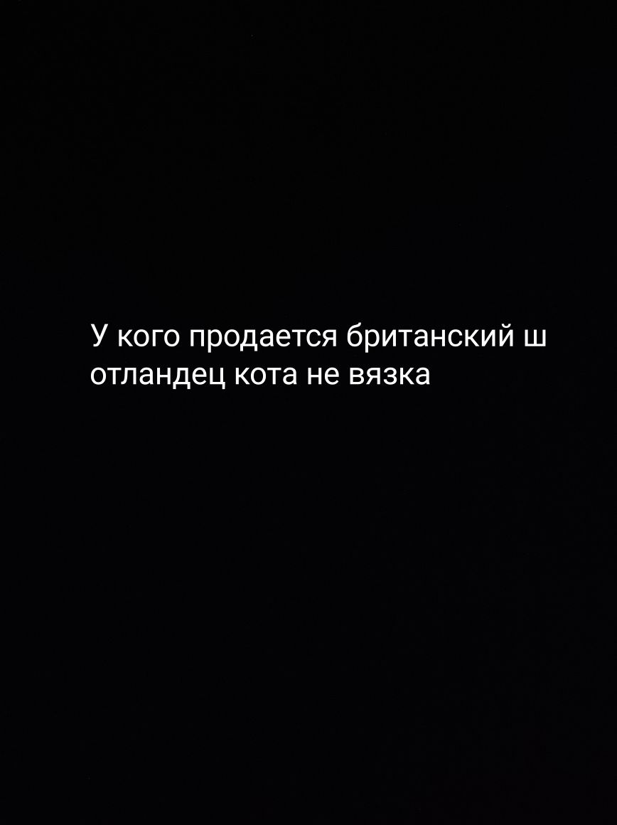 Не надо таких простой кошек отдавать