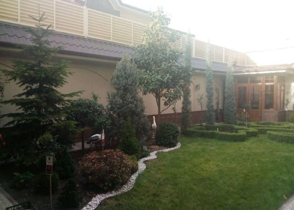 Газон европа уруғларидан палив ланшафт  хизмати мавжуд