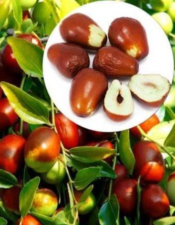 Curmal Chinezesc la Ghiveci